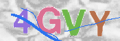 验证码