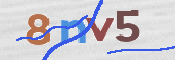 Image Anti-spam